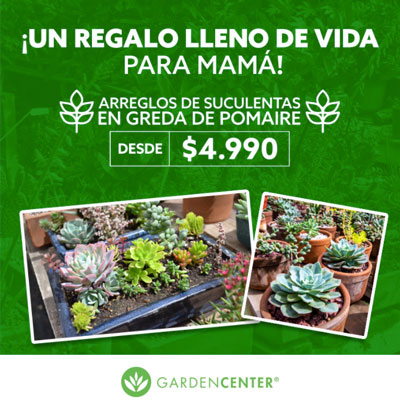 promo-mama